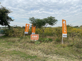 ●土地面積197坪超、中川、下河原運動広場付近の農地！