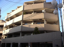 ルーブル都立大学の画像