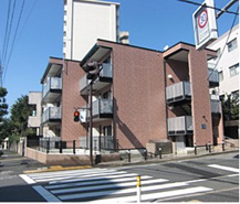 レオパレスラ　メイジュトキワダイの画像