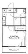 ハレイワハレの画像