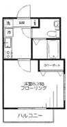 ハレイワハレの画像