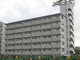 白樺ハウス城東の画像