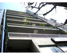 文京区本郷４丁目のマンションの画像