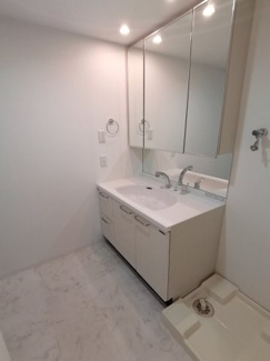 収納力たっぷりの洗面化粧台は、忙しい朝にも活躍できそうです♪※新築購入時の写真です。