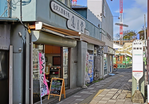 京急とシーサイドライン直結でますます住みやすい金沢八景駅!の画像