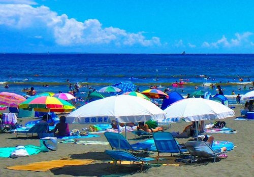 海水浴シーズンは「海の公園」で遊ぶ!家族で楽しめるレジャー3選の画像