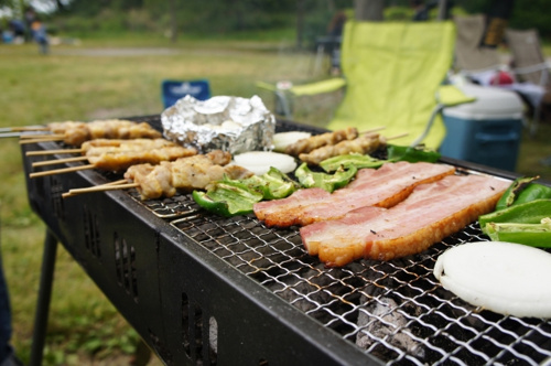 バーベキューやキャンプも楽しめる!横浜市金沢区の野島公園 の画像
