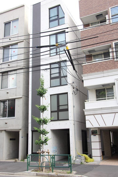 細長いえんぴつのような外観
