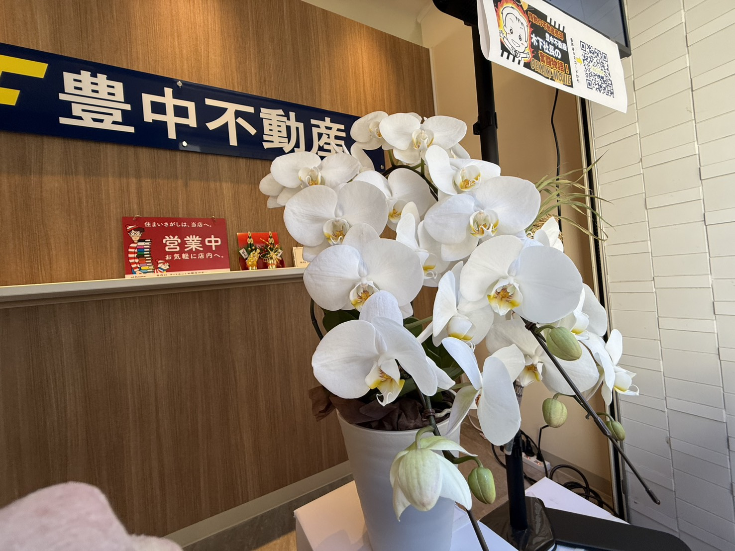 今年は例年以上に動きそうです!の画像