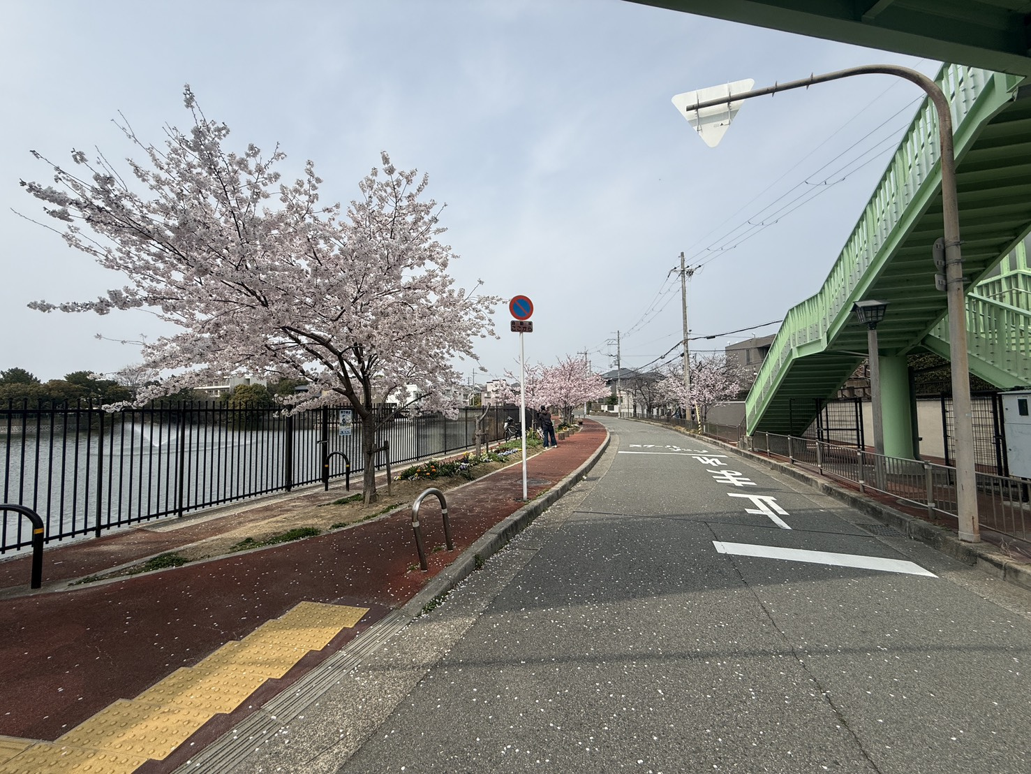上着要らない!の画像