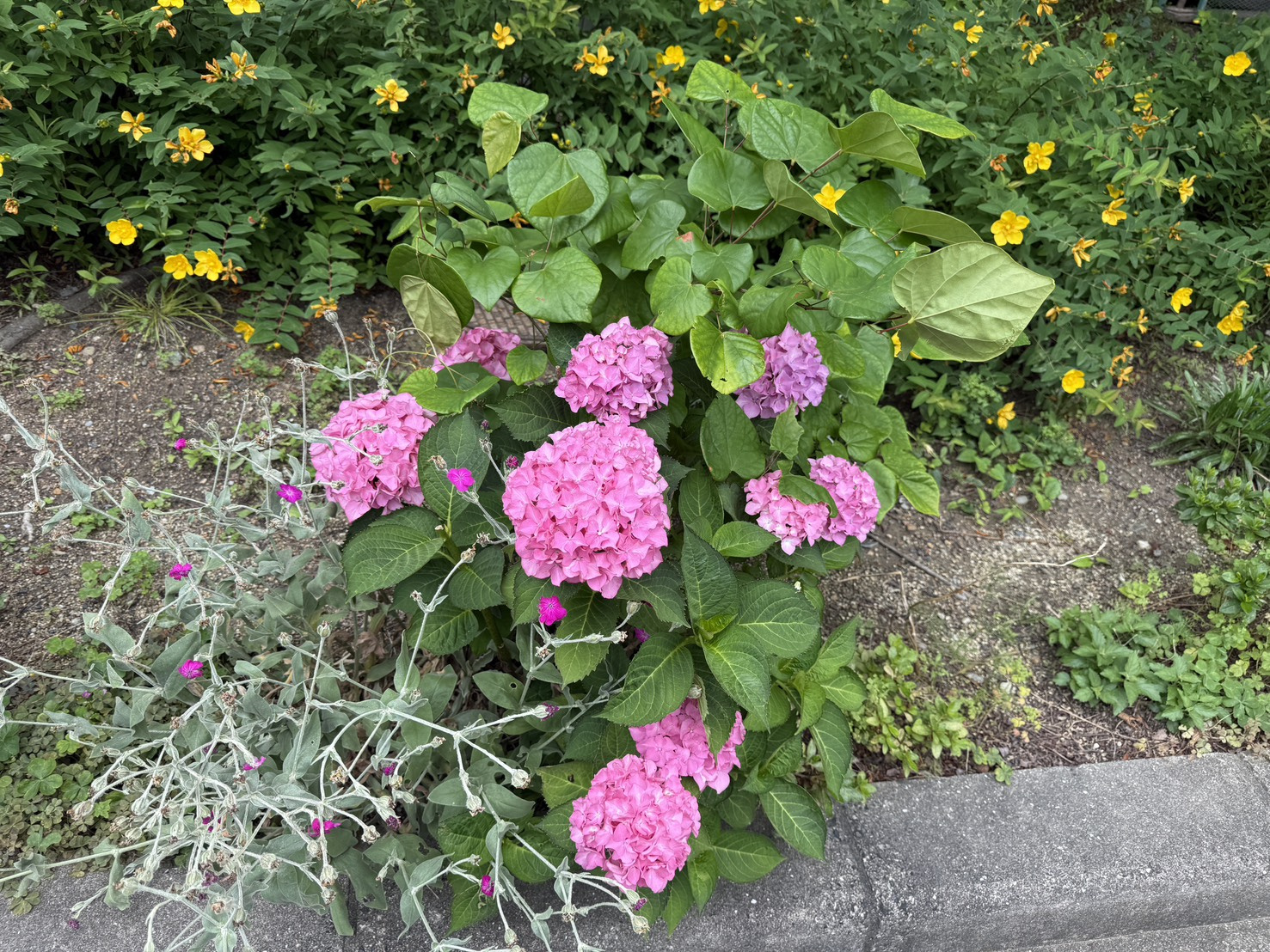 売却依頼ラッシュです!の画像