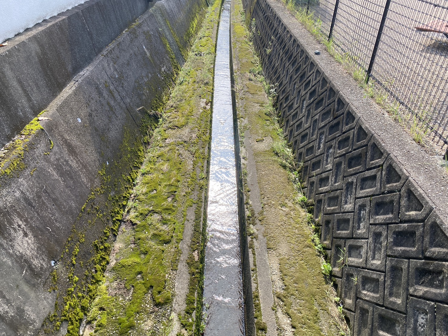 月曜日いい天気です!の画像