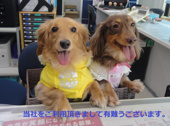 井出　様の画像