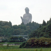 近辺の画像