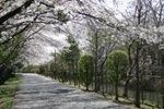 近辺の画像