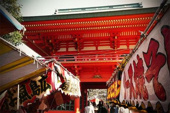 早稲田近辺の画像