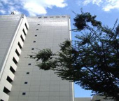 板橋区役所前近辺の画像