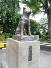 渋谷近辺の画像