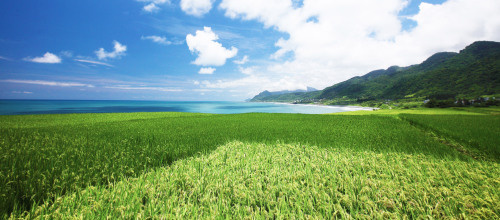東京ディズニーランド駅