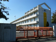 小学校 桃栄小学校