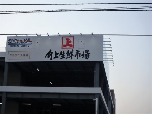 角上魚類 ホームズさいたま中央店