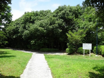 公園 美鈴が丘中央公園