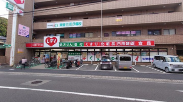 ドラッグストア くすりのレデイ 矢野駅前店
