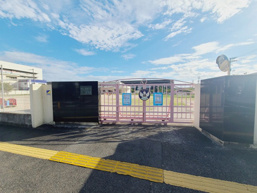 幼稚園 やよい幼稚園