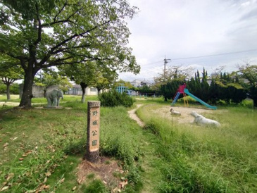 公園 野坂公園