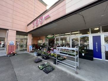 その他 花工房おだ フジ店