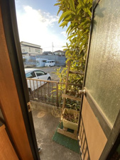 見沼区中川戸建【その他】