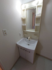 エコグリーンニュー大宮【独立洗面台】