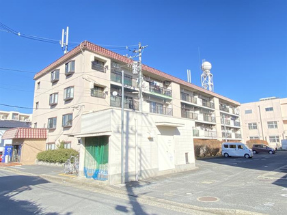 プラムコート見和の画像