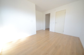 上賀茂本山1期11号地【洋室】