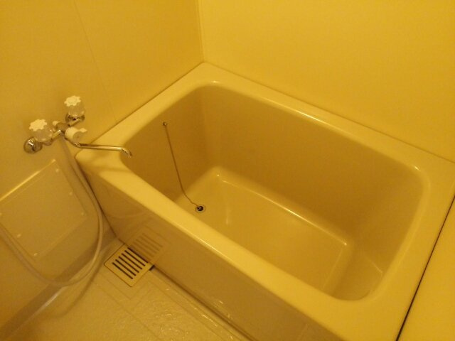 プラドールアカサカ【浴室】