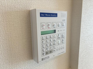 ラディーチェD【セキュリティ】