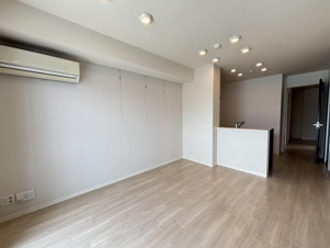 ラディーチェD【居間・リビング】