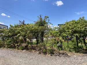 本別町柏木町【庭つき】