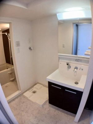 スペースが確保できる洗面所です