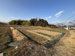 西条町田口　土地【前面道路含む現地写真】