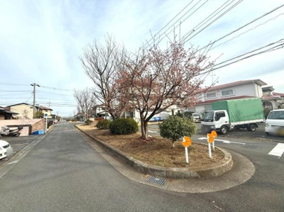 街路樹が並ぶ道路が印象的で周辺の住環境の整った雰囲気が感じられます。幅広い道幅があり車の移動にも便利です。住宅地らしい落ち着いた景観が広がっています。周辺には住宅が並び落ち着いたエリアです。
