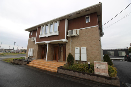 ポポラリタの画像