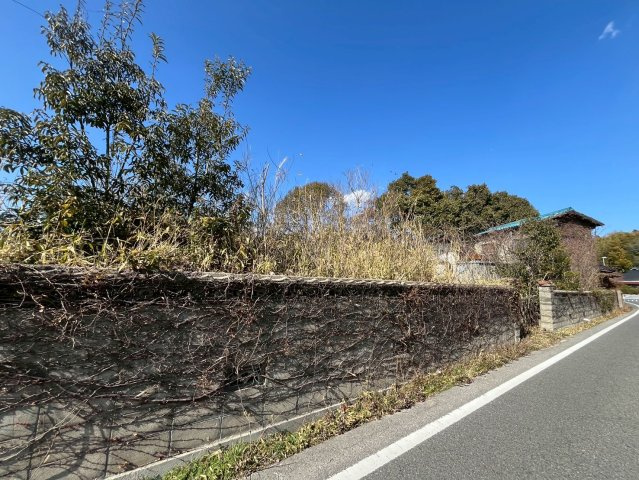 【現地写真】
2026年2月に撮影しました