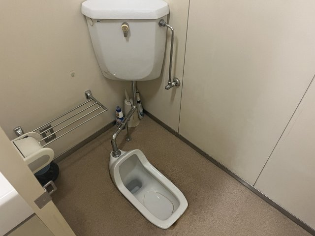 ロイヤルシャトー白壁　1・2階【トイレ】