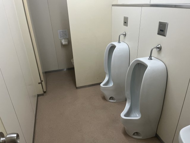 ロイヤルシャトー白壁　1・2階【トイレ】