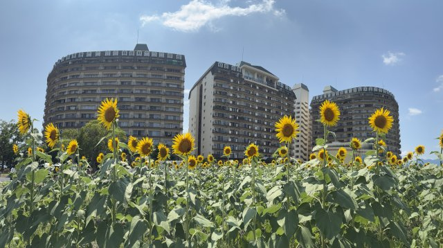 琵琶湖アーバンリゾート3番館【外観】外観別角度