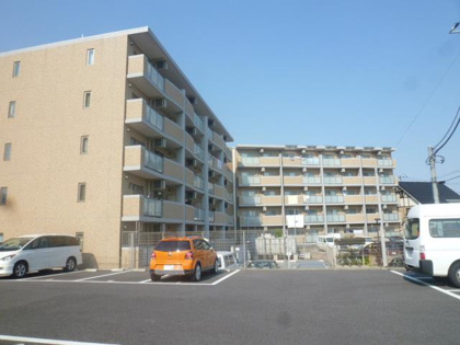 ジョヴィアルの画像