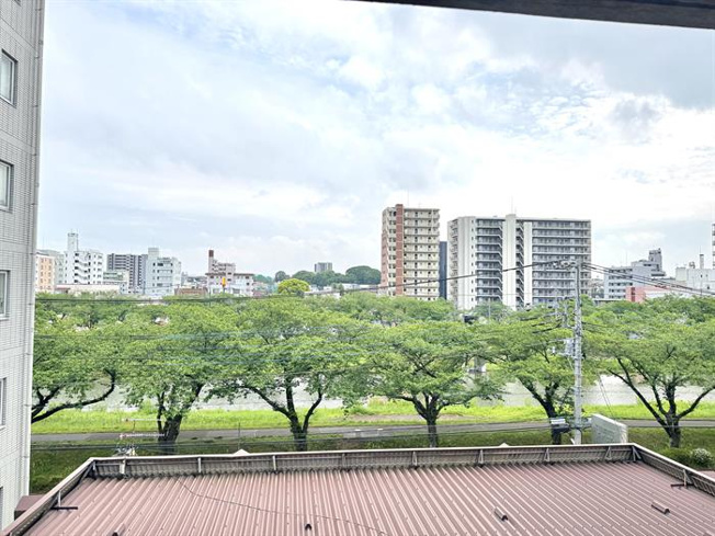 桜の時期が楽しみな眺望です