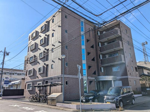ロフォス白梅の画像