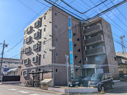 ロフォス白梅の画像